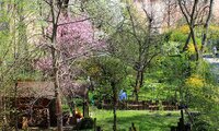 Blick in die Schnepperschützengärten von oben; es sind viele Bäume und blühende Sträucher zu sehen und einige Gartenhäuschen | © Dr. Stefan Böger