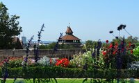 Blick auf die Blütenpracht des Gartens mit Burgmauer und einem Turm der Stadt im Hintergrund | © Unbekannt